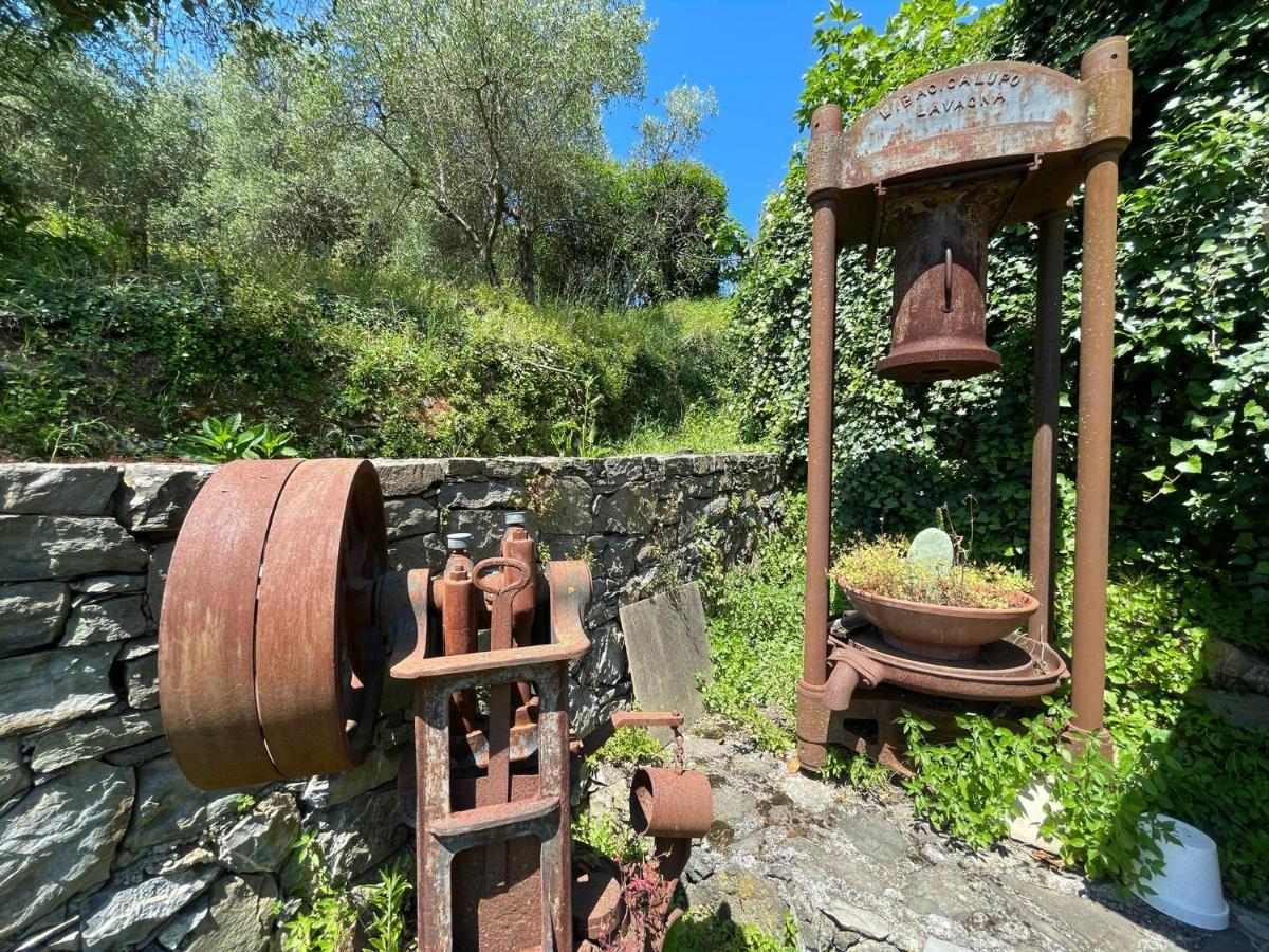 Il Frantoio Di Luna - Levanto, 5 Terre Eksteriør billede